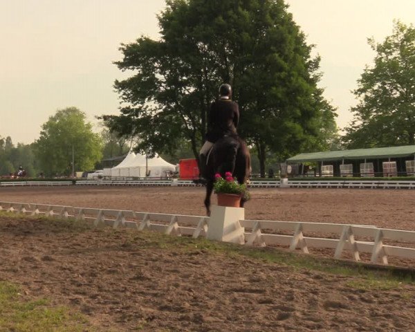 Reitturnier Hamm-Rhynern 2018