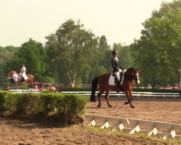 Reitturnier Hamm-Rhynern 2018