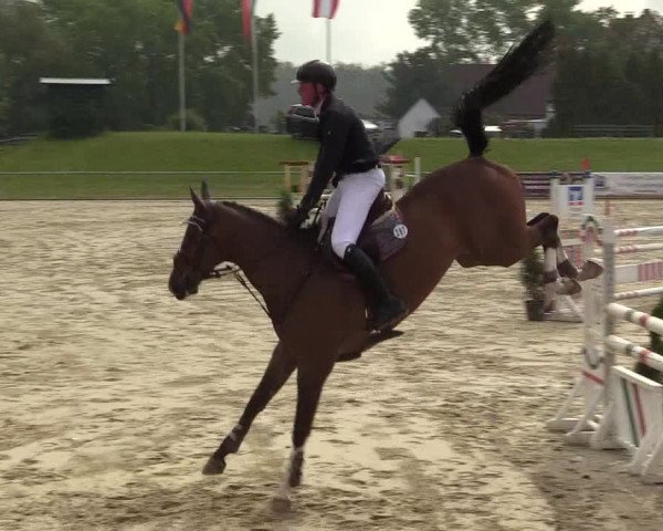 Reitturnier Hamm-Rhynern 2018