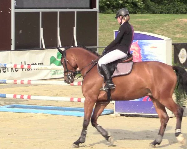 Reitturnier Hamm-Rhynern 2018