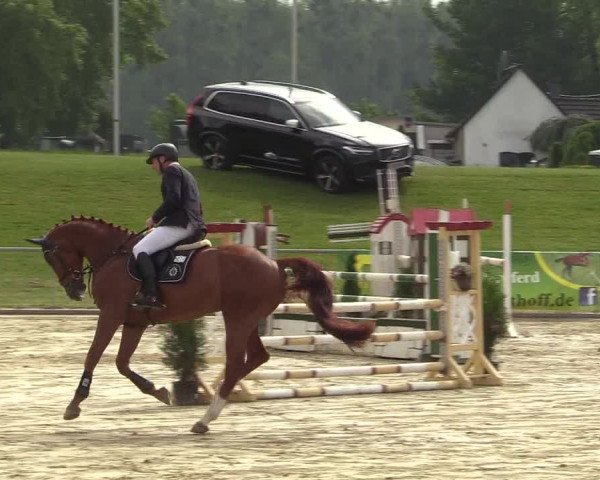 Reitturnier Hamm-Rhynern 2018