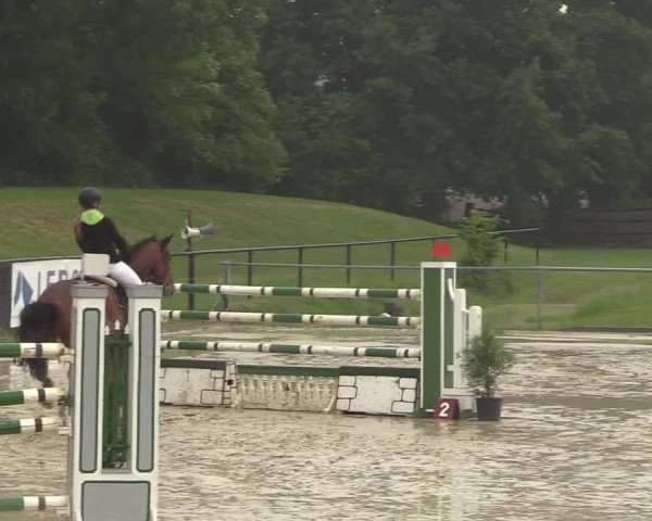 Reitturnier Hamm-Rhynern 2018