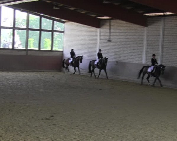 Reitturnier Hamm-Rhynern 2018