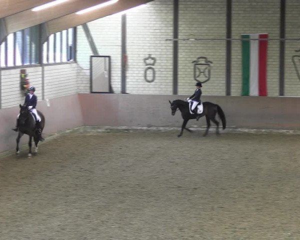 Reitturnier Hamm-Rhynern 2018