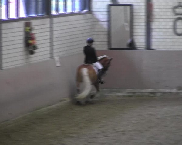Reitturnier Hamm-Rhynern 2018