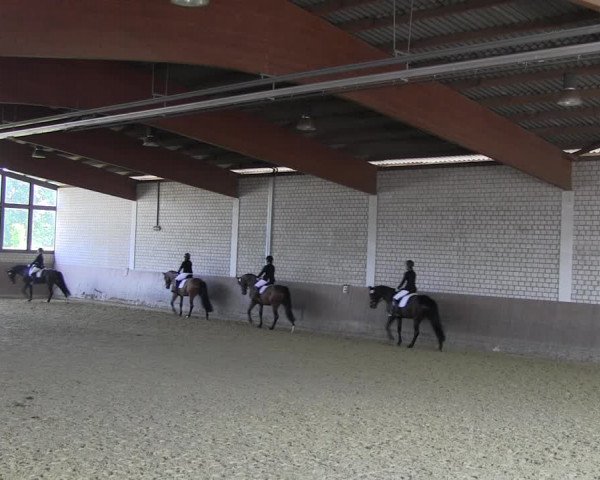 Reitturnier Hamm-Rhynern 2018