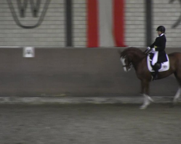 Reitturnier Hamm-Rhynern 2018