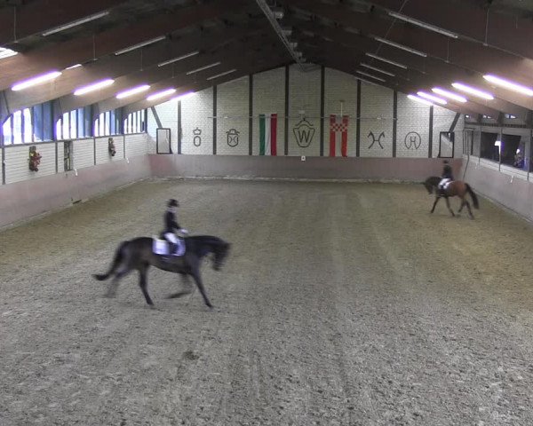 Reitturnier Hamm-Rhynern 2018