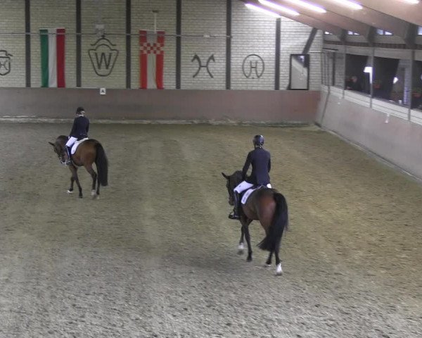 Reitturnier Hamm-Rhynern 2018