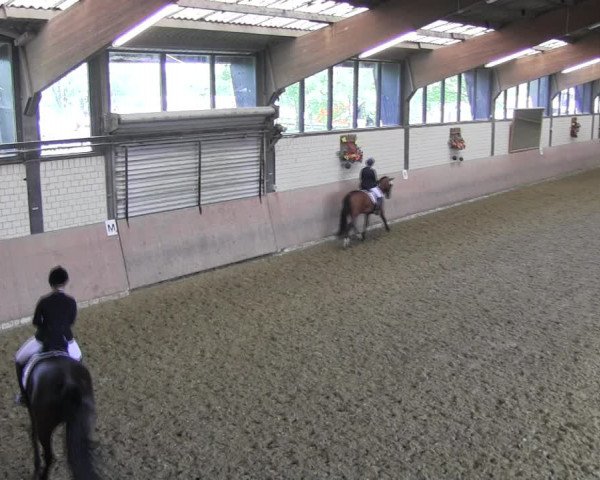 Reitturnier Hamm-Rhynern 2018