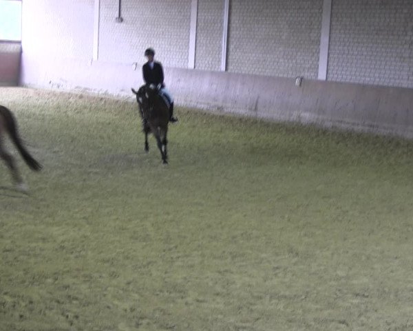 Reitturnier Hamm-Rhynern 2018