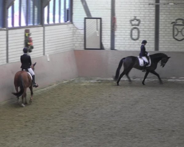Reitturnier Hamm-Rhynern 2018
