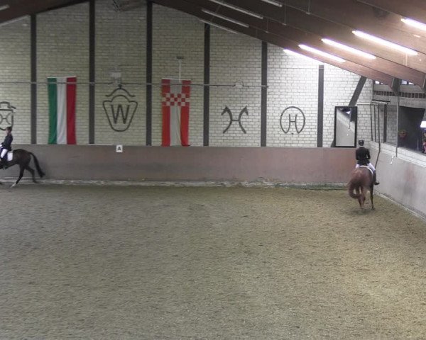 Reitturnier Hamm-Rhynern 2018