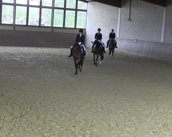 Reitturnier Hamm-Rhynern 2018