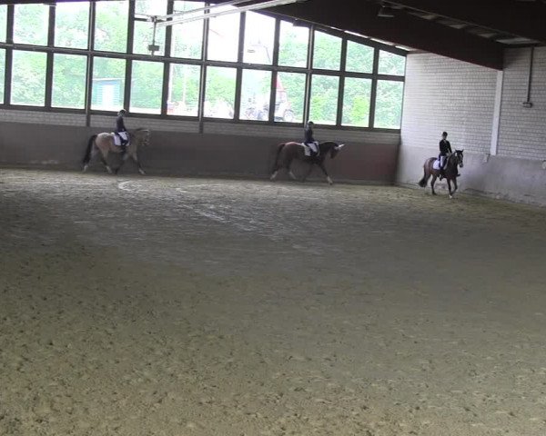 Reitturnier Hamm-Rhynern 2018