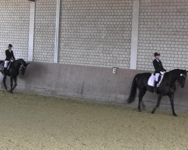 Reitturnier Hamm-Rhynern 2018
