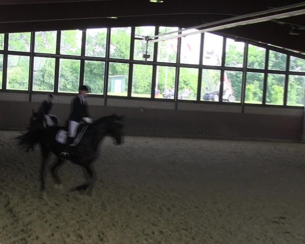 Reitturnier Hamm-Rhynern 2018