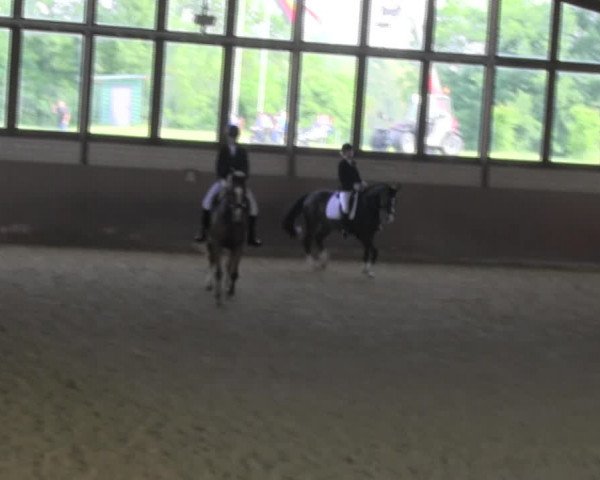 Reitturnier Hamm-Rhynern 2018