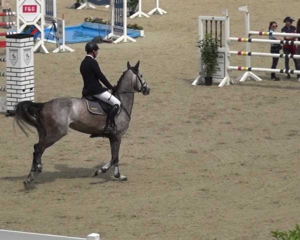 Reitturnier Fürstenwald 2018