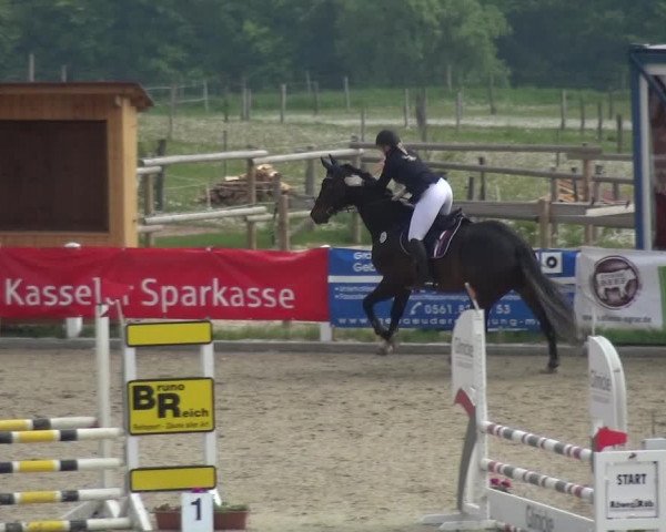 Reitturnier Fürstenwald 2018