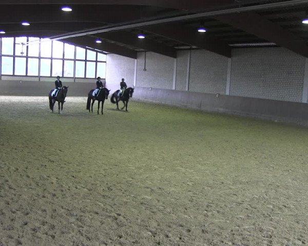 Reitturnier Hamm-Rhynern 2018