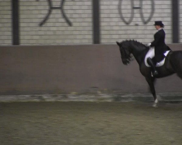 Reitturnier Hamm-Rhynern 2018