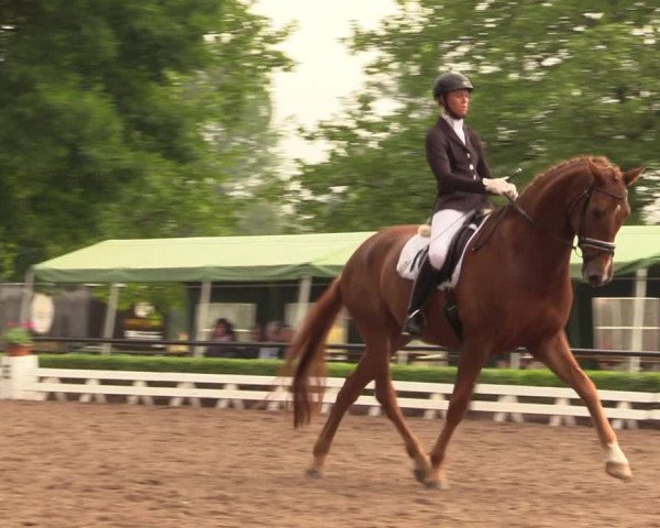 Reitturnier Hamm-Rhynern 2018