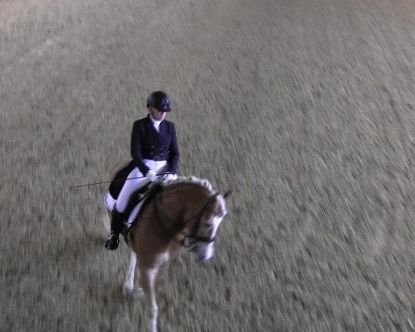 Reitturnier Hamm-Rhynern 2018