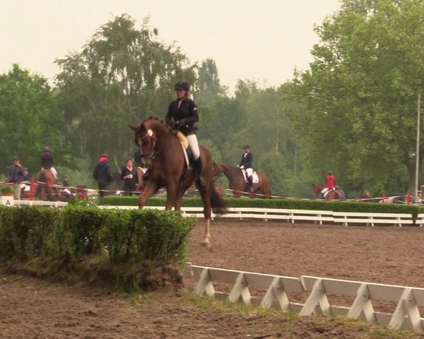 Reitturnier Hamm-Rhynern 2018