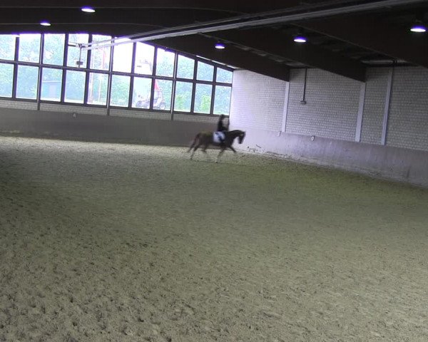 Reitturnier Hamm-Rhynern 2018