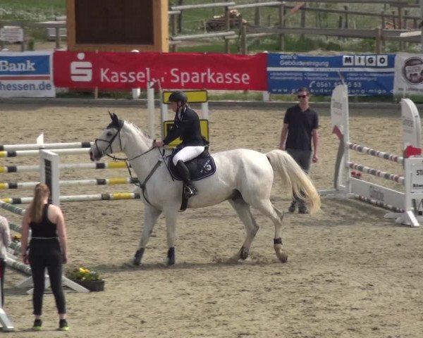 Reitturnier Fürstenwald 2018
