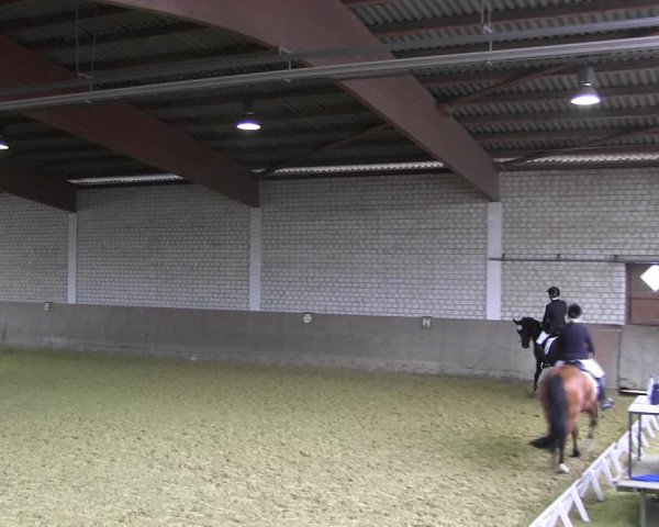 Reitturnier Hamm-Rhynern 2018