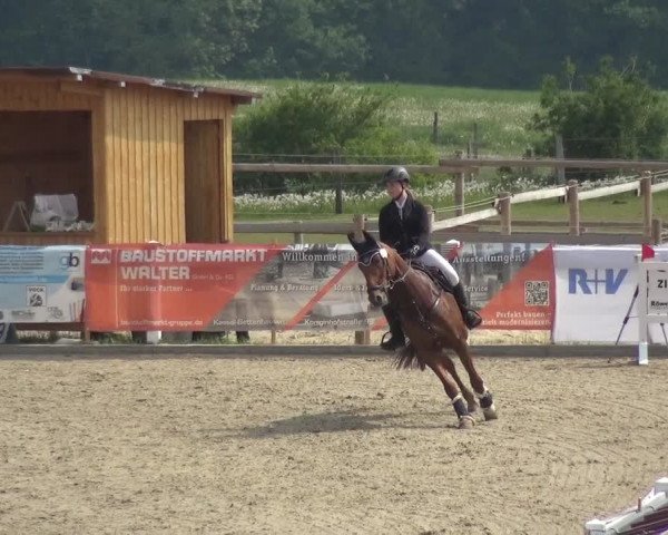 Reitturnier Fürstenwald 2018