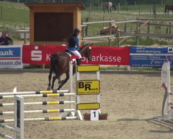 Reitturnier Fürstenwald 2018