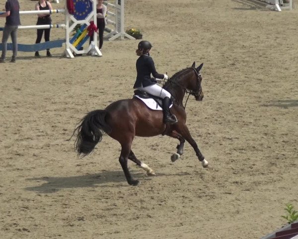 Reitturnier Fürstenwald 2018