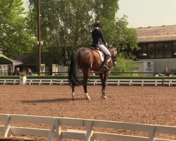 Reitturnier Hamm-Rhynern 2018