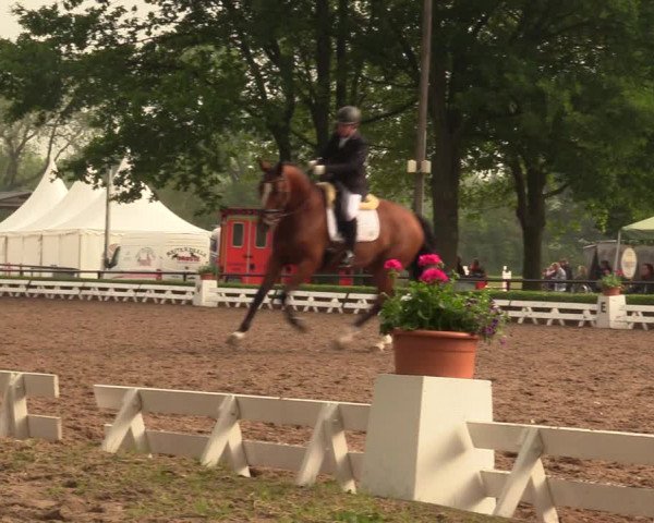 Reitturnier Hamm-Rhynern 2018