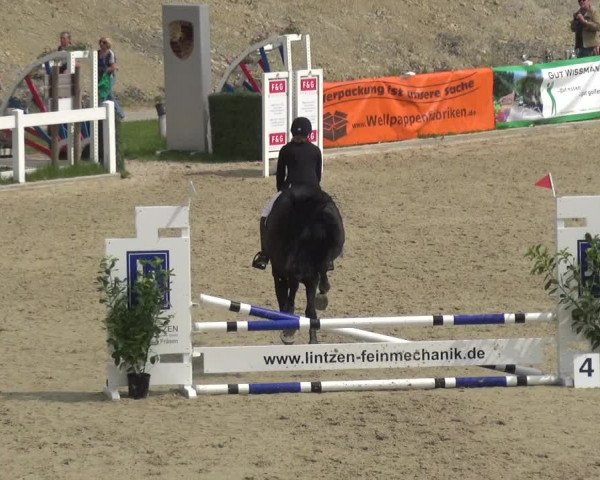 Reitturnier Fürstenwald 2018