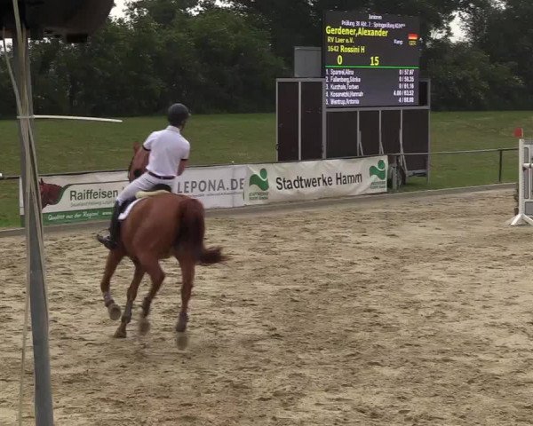 Reitturnier Hamm-Rhynern 2018
