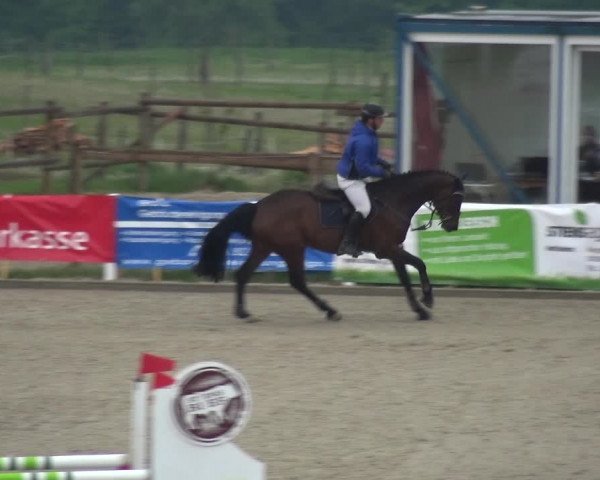 Reitturnier Fürstenwald 2018