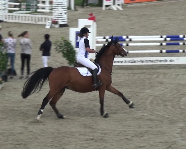 Reitturnier Fürstenwald 2018