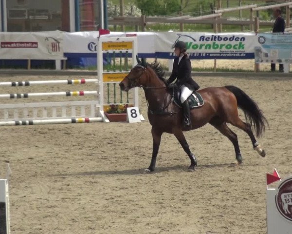 Reitturnier Fürstenwald 2018