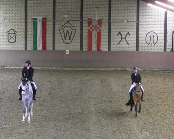 Reitturnier Hamm-Rhynern 2018