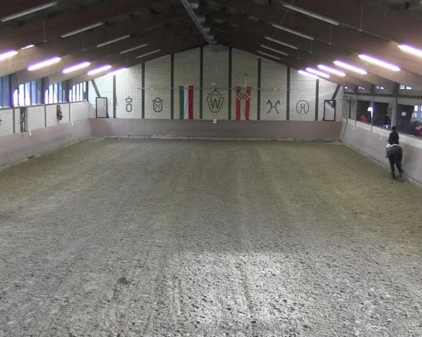 Reitturnier Hamm-Rhynern 2018