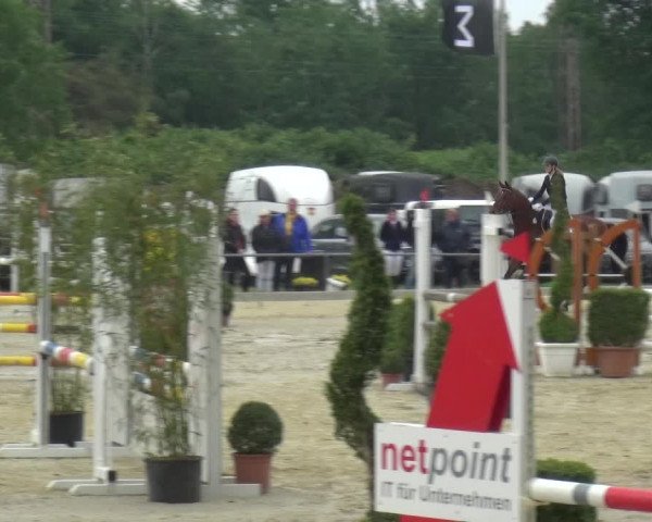 Reitturnier Ratingen-Lintorf 2018