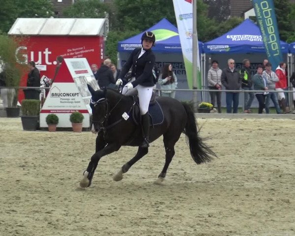 Reitturnier Ratingen-Lintorf 2018