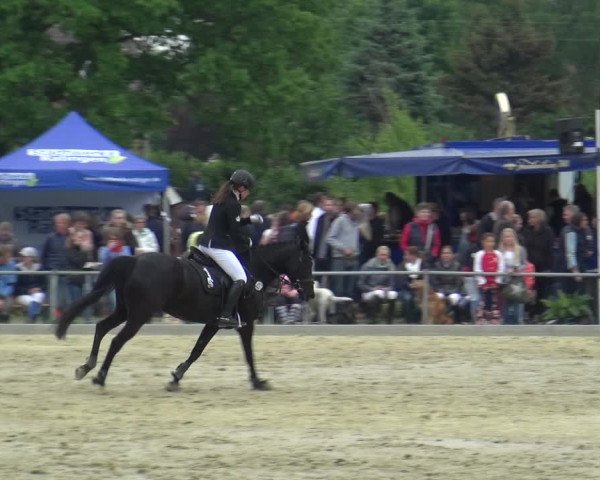 Reitturnier Ratingen-Lintorf 2018