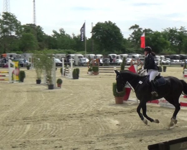 Reitturnier Ratingen-Lintorf 2018