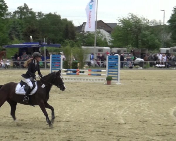 Reitturnier Ratingen-Lintorf 2018