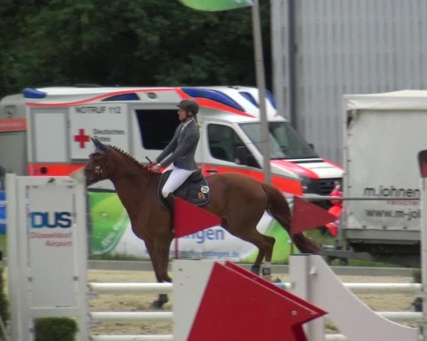 Reitturnier Ratingen-Lintorf 2018